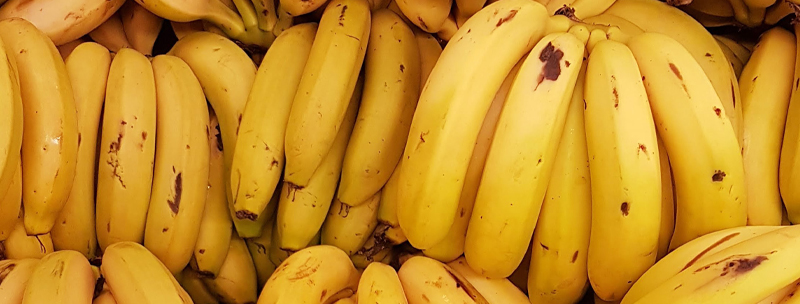 Opportunity for Costa Rican bananas: China increases its imports of the fruit