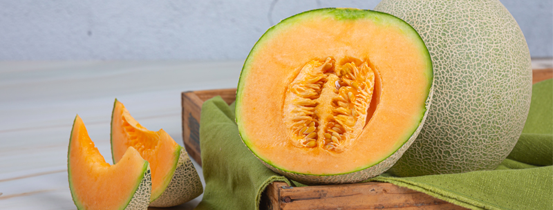 Melon and watermelon export season has begun!